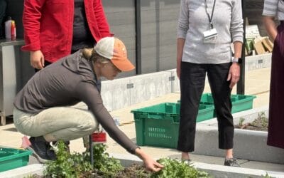 BMC’s Rooftop Farm