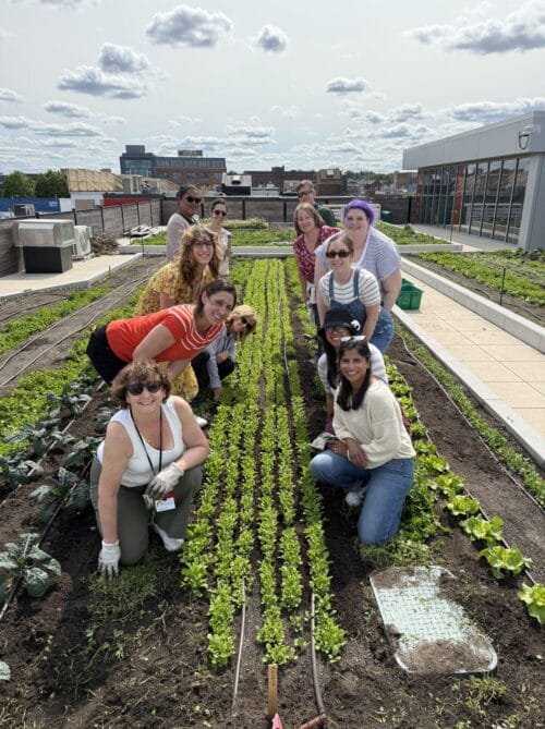 Co-workers kneeling in garden.